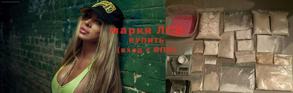 гашиш Богданович
