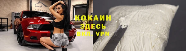 гашиш Богданович