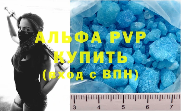 гашиш Богданович