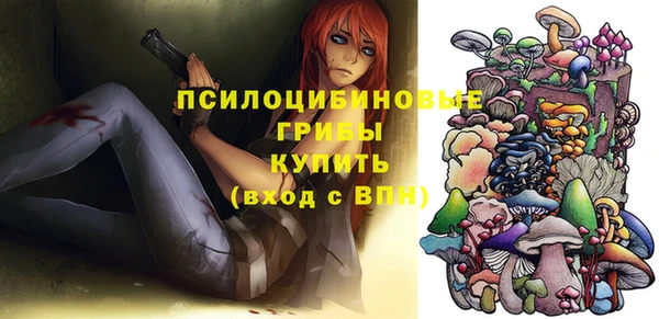 гашиш Богданович