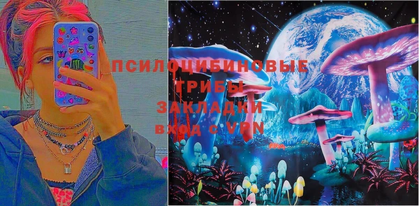 COCAINE Богородск