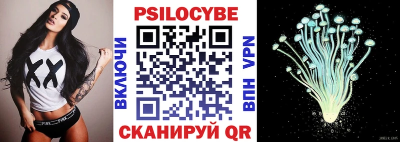 блэк спрут зеркало  дарнет шоп  Оха  Псилоцибиновые грибы Psilocybine cubensis 